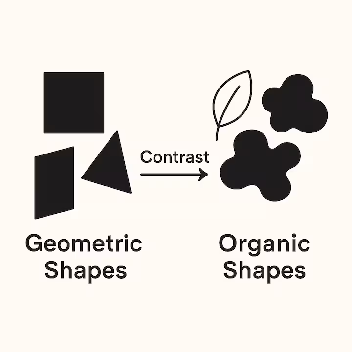 shape and form contrast