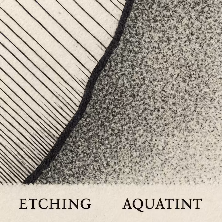 Comparison of an etched line and an aquatint tonal area in a printmaking plate or print.