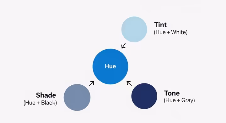 A diagram showing a pure blue hue in the center. An arrow points to a lighter blue labeled 'Tint (Hue + White)'. An arrow points to a darker blue labeled 'Shade (Hue + Black)'. An arrow points to a muted, grayish blue labeled 'Tone (Hue + Gray)'.